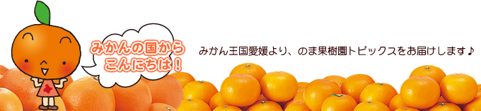 みかんの国からこんにちは！