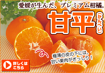 ɲ�ޤɤ��