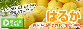 �Ϥ�Ҥ�