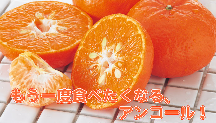アンコールオレンジ