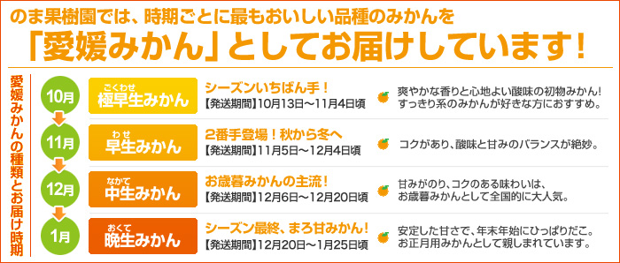 愛媛みかんの種類とお届け時期