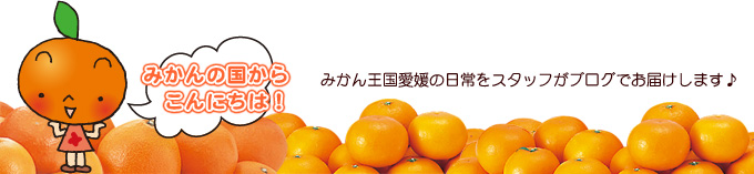 スタッフブログ