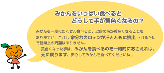 みかんを食べると手が黄色くなる理由