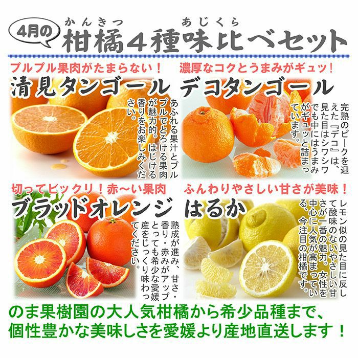 4月の柑橘4種味比べ「満足」セット 