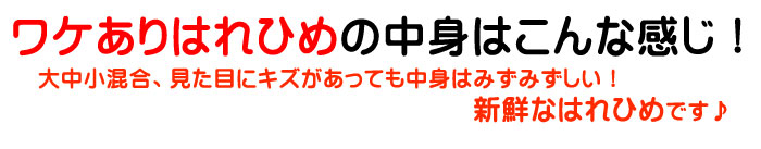 ワケありはれひめの中身はこんな感じ！