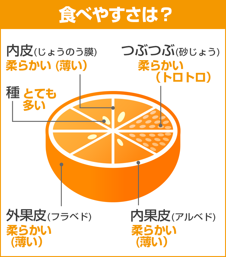 みかんデータ：ニューサマーオレンジ