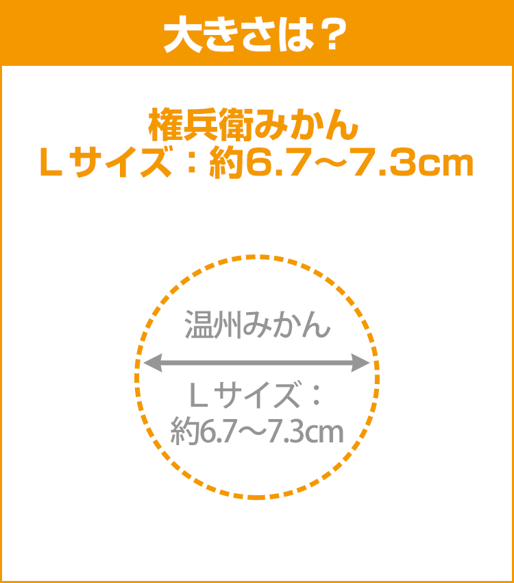 みかんデータ：権兵衛みかん