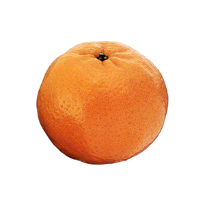 ポンカンオレンジ