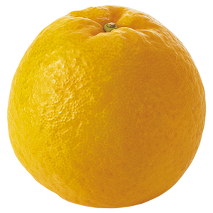 ジューシーオレンジ