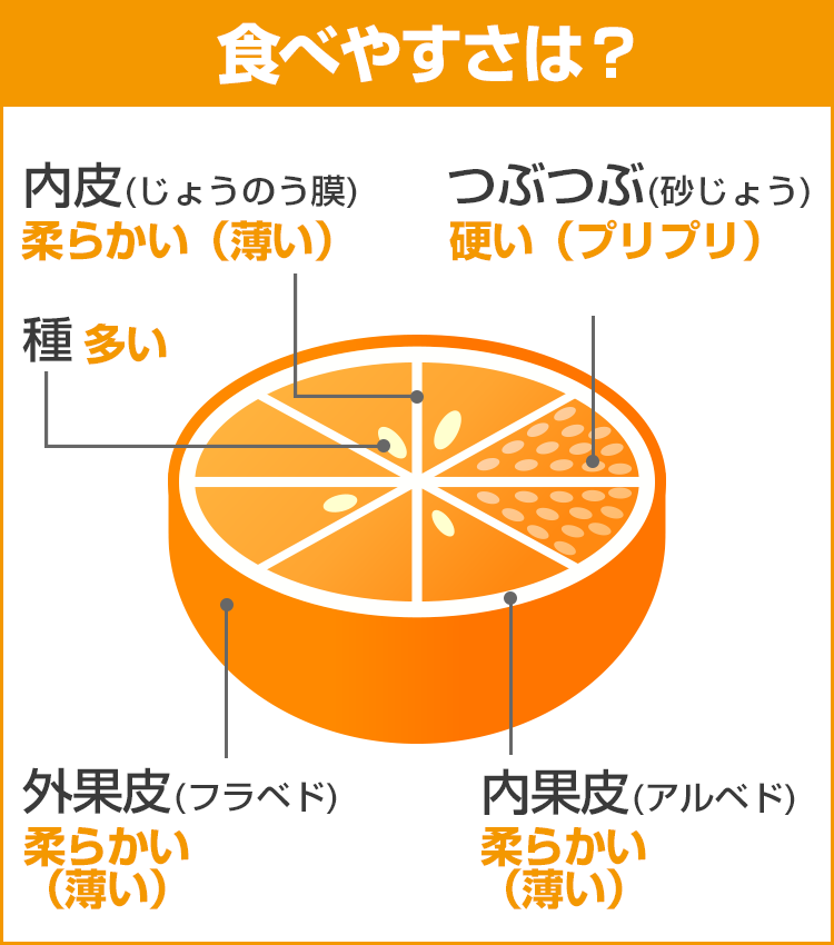 みかんデータ：ポンカン