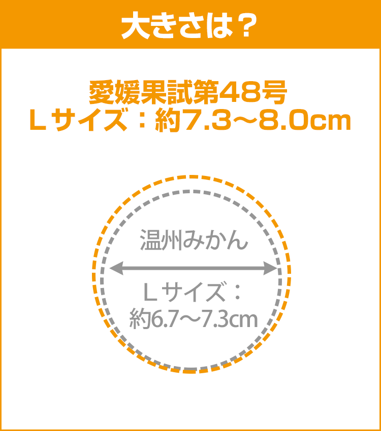 みかんデータ： 愛媛果試第48号