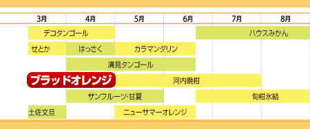 柑橘カレンダー