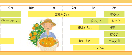柑橘カレンダー