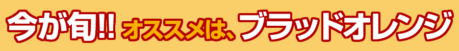 今が旬!おすすめはブラッドオレンジ家庭用