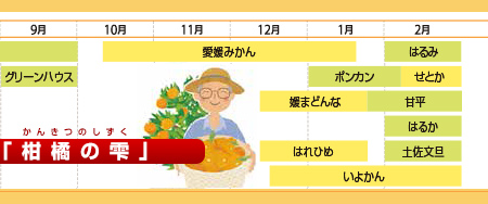 柑橘カレンダー