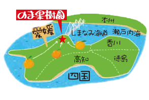 のま果樹園は四国　愛媛県にあります