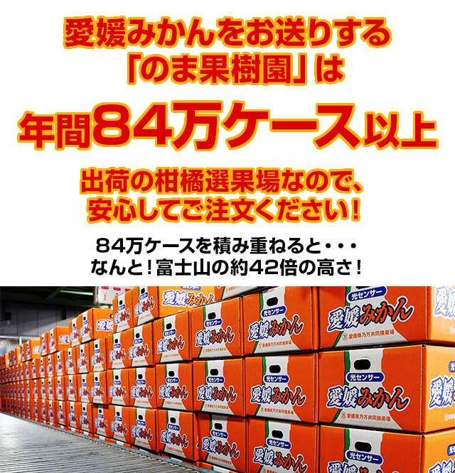 のま果樹園は年間100万ケース以上出荷の柑橘選果場