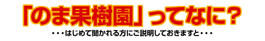 のま果樹園ってなに？