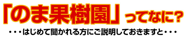 のま果樹園ってなに？