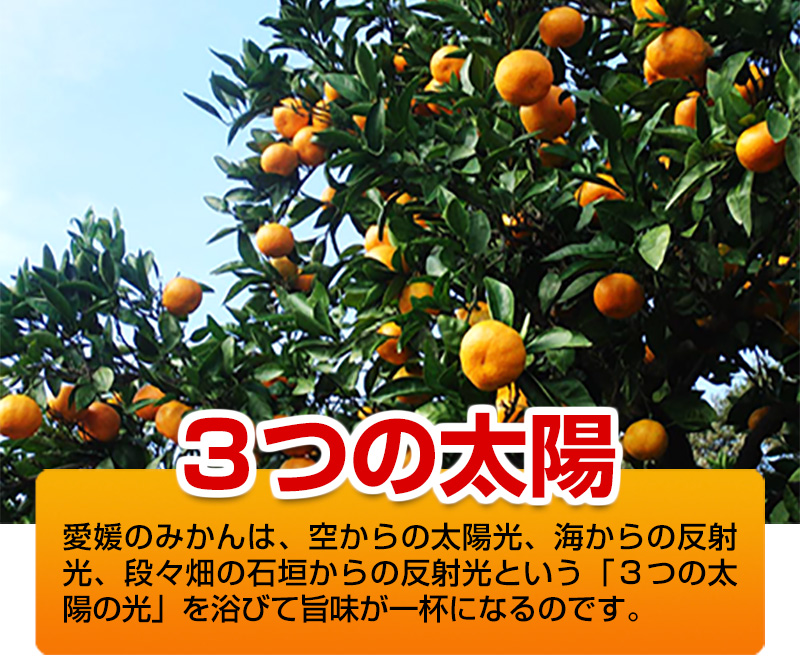 3つの太陽
