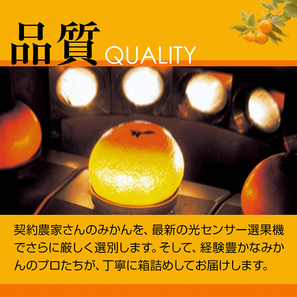 品質