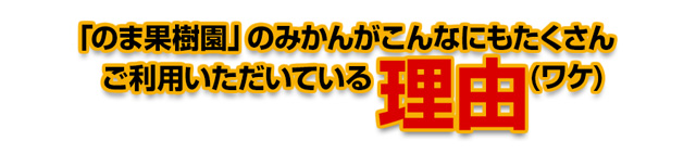 のま果樹園のみかんがこんなにもたくさんご利用いただいている理由