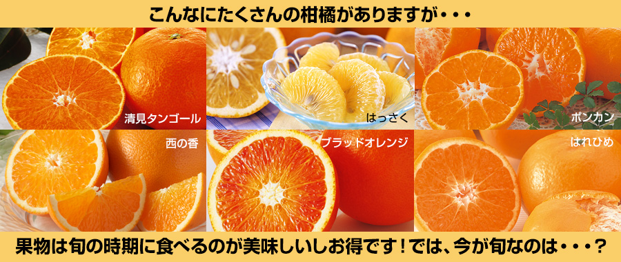 果物は旬の時期に食べるのが美味しいしお得です。