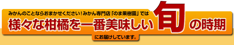 様々な柑橘を一番美味しい旬の時期にお届けしています