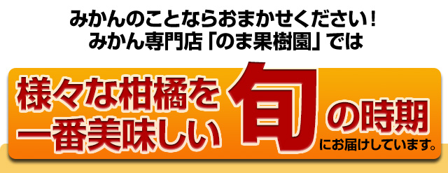 様々な柑橘を一番美味しい旬の時期にお届けしています