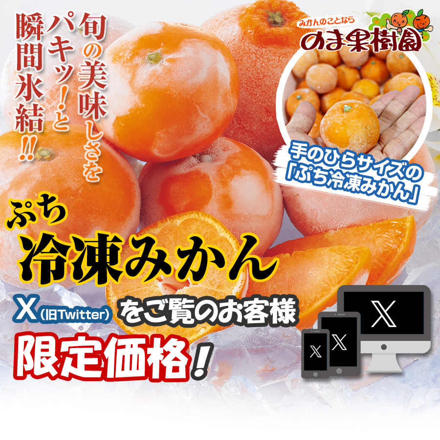 旬柑氷結（冷凍みかん）ぷち愛媛みかん【X（旧twitter）特別企画