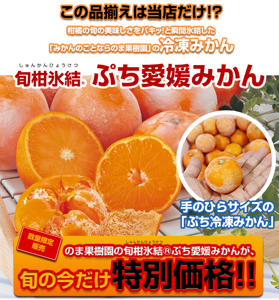 magniflex - みかん 柑橘系 アーカイブ | 株式会社堀江本店｜株式会社ホリックス