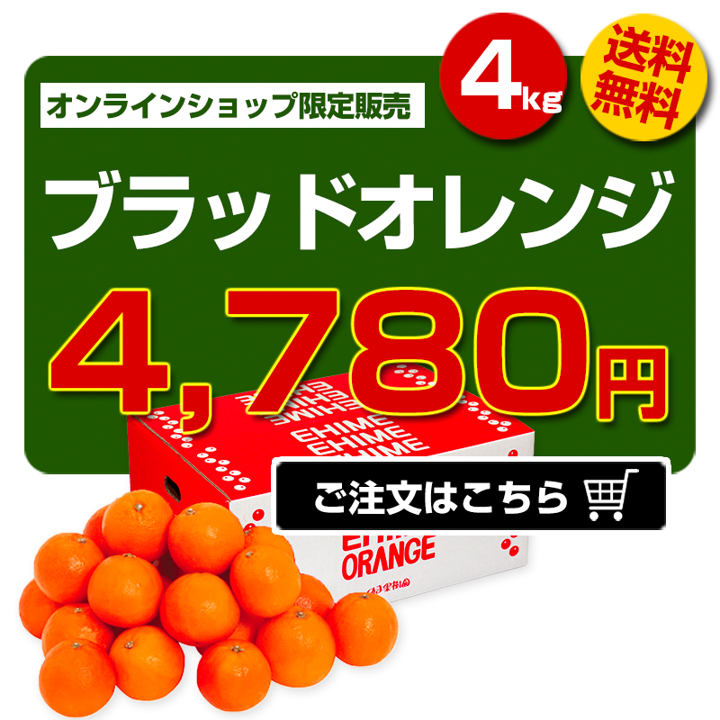 ブラッドオレンジ家庭用【SNS限定企画】｜愛媛みかん専門店「のま果樹園」