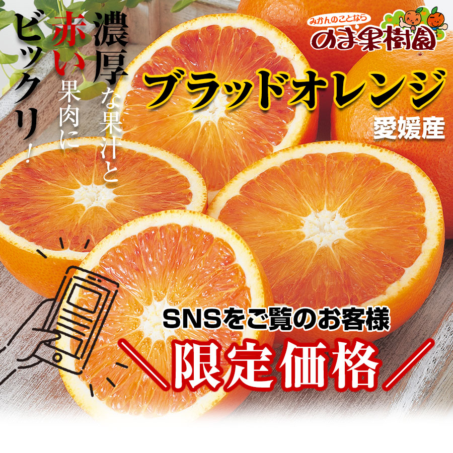 ブラッドオレンジ家庭用【SNS限定企画】｜愛媛みかん専門店「のま果樹園」