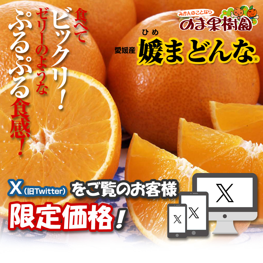 媛まどんな家庭用【X（旧twitter）特別企画】｜愛媛みかん専門店「のま