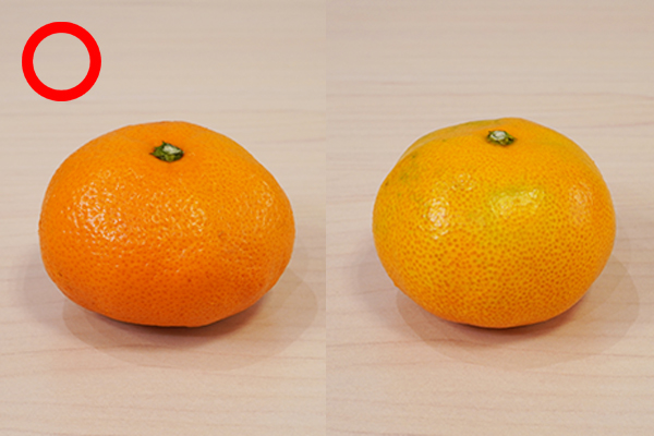おいしいみかんの見分け方 | みかんペディア | みかんのことなら「のま 