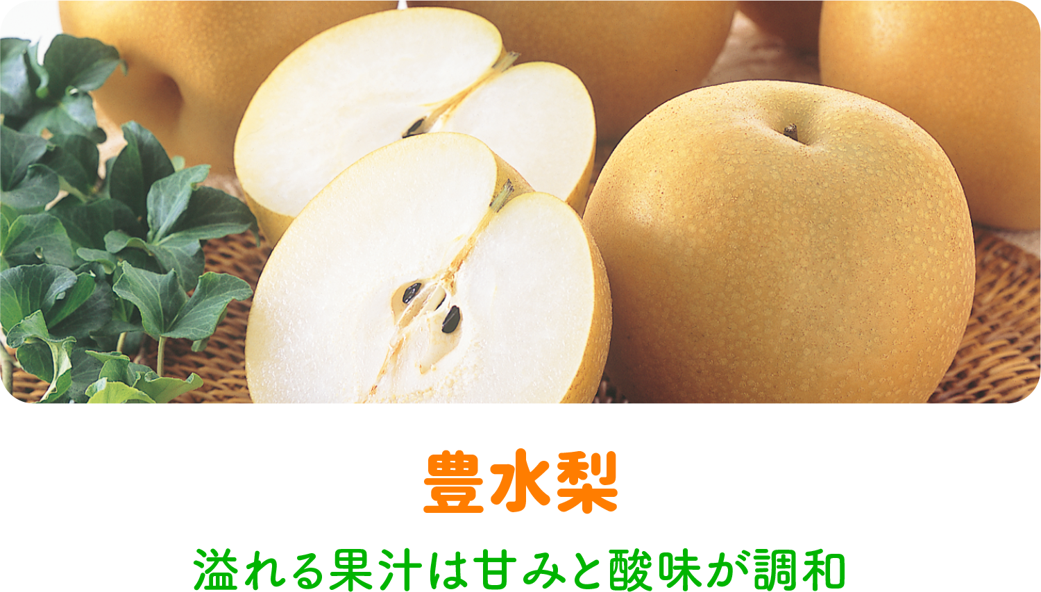 豊水梨