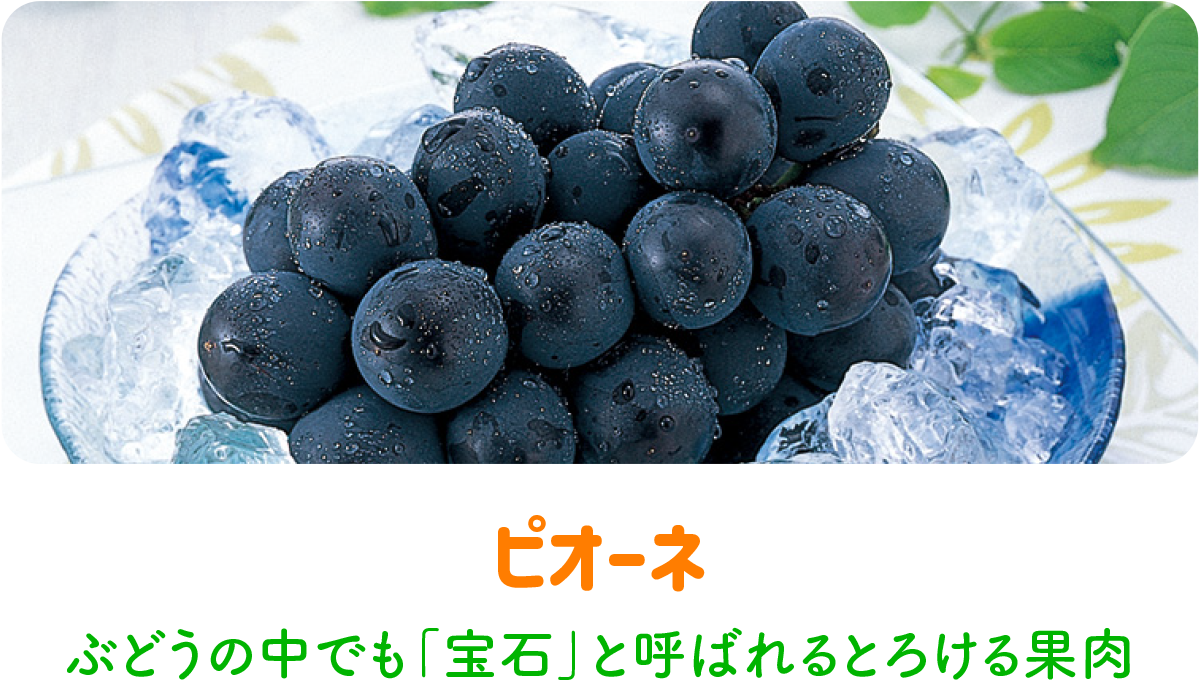 ピオーネ
