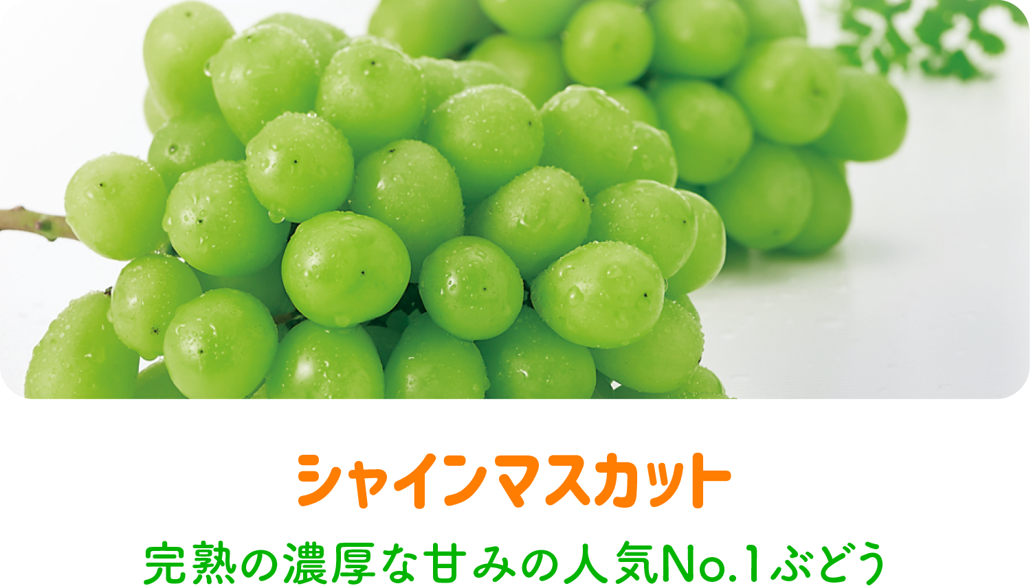 シャインマスカット