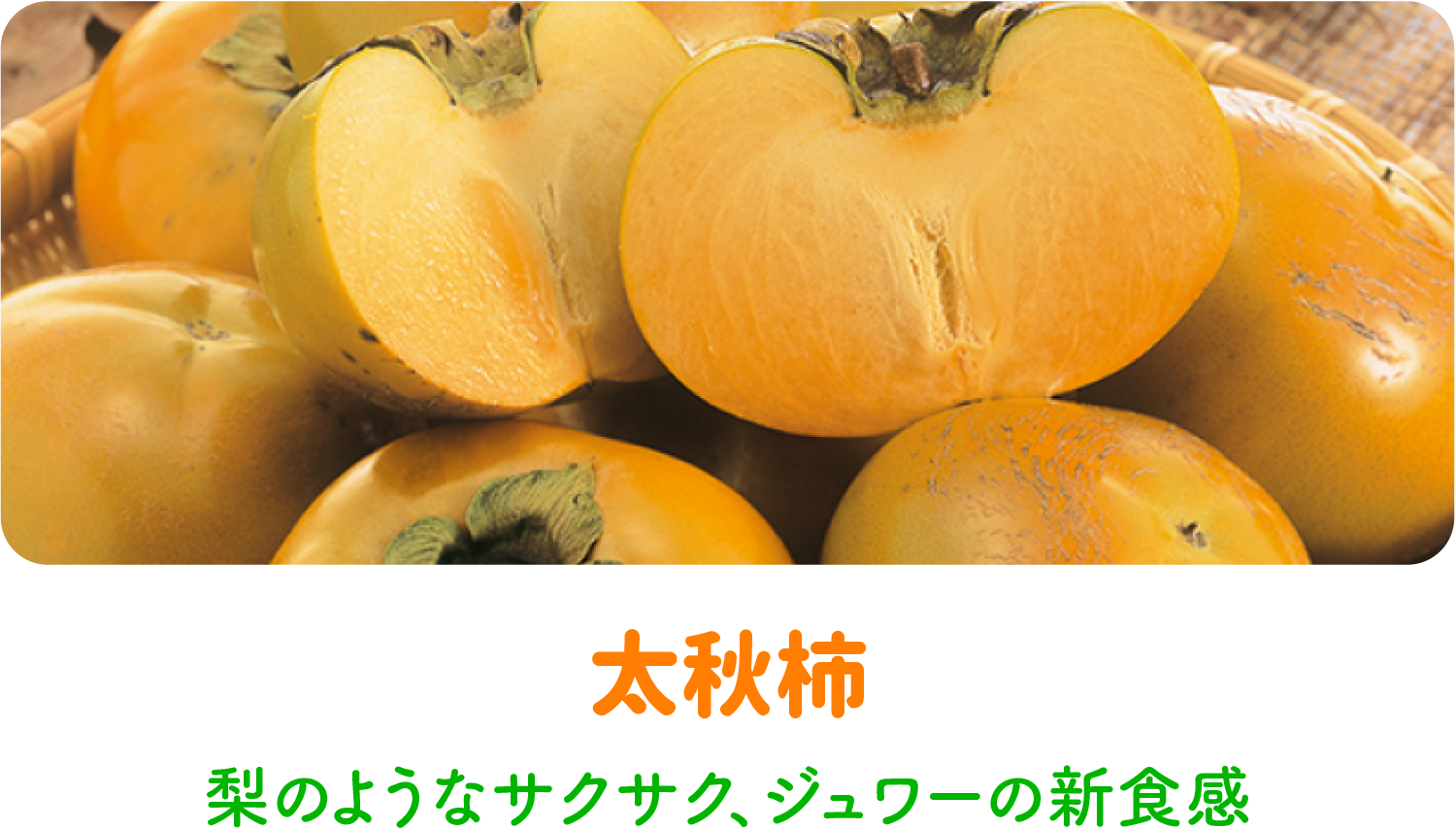 太秋柿