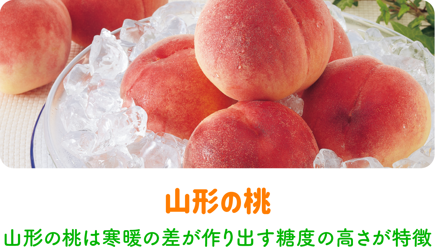 完熟白桃