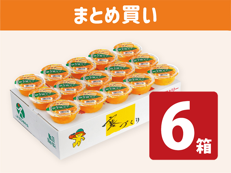 6箱まとめ買い