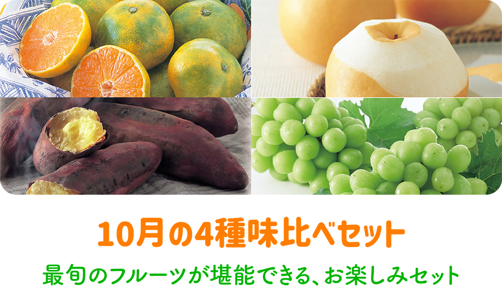 10月セット