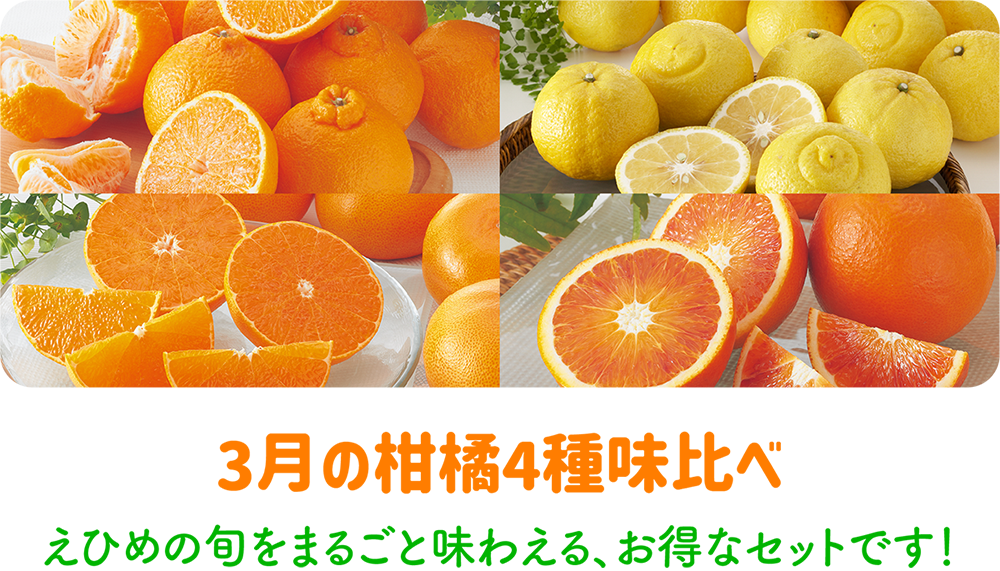 3月の柑橘詰め合わせ
