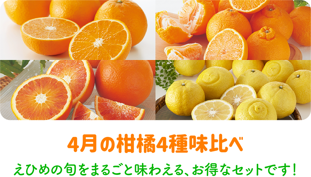 4月の柑橘詰め合わせ