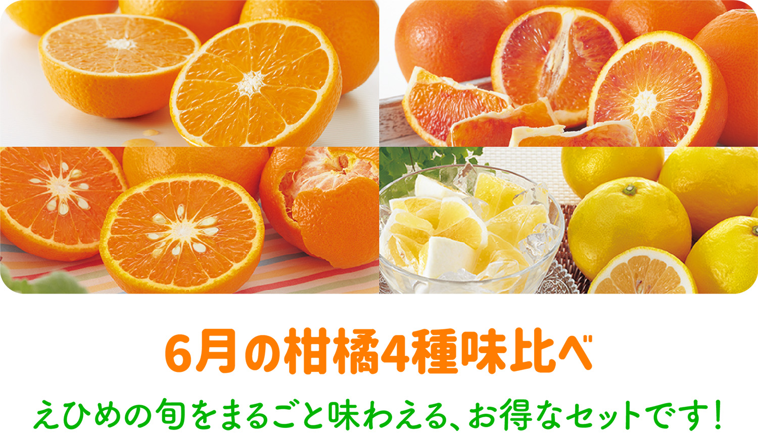 6月の柑橘詰め合わせ