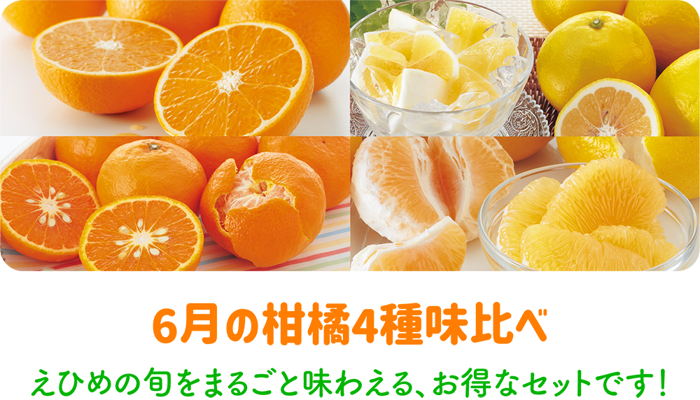 6月の柑橘詰め合わせ