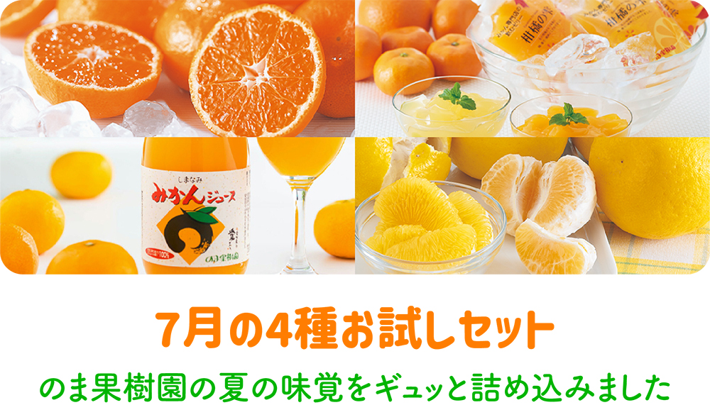 7月の4種お試しセット