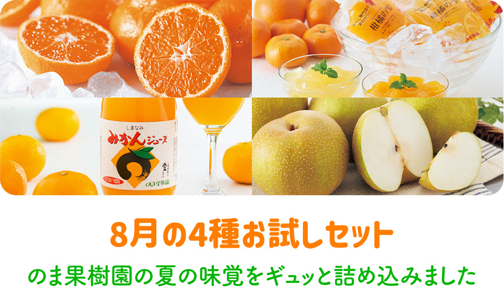 8月の4種お試しセット