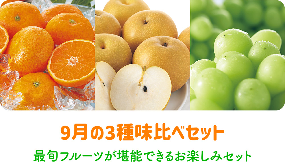 9月の3種お試しセット