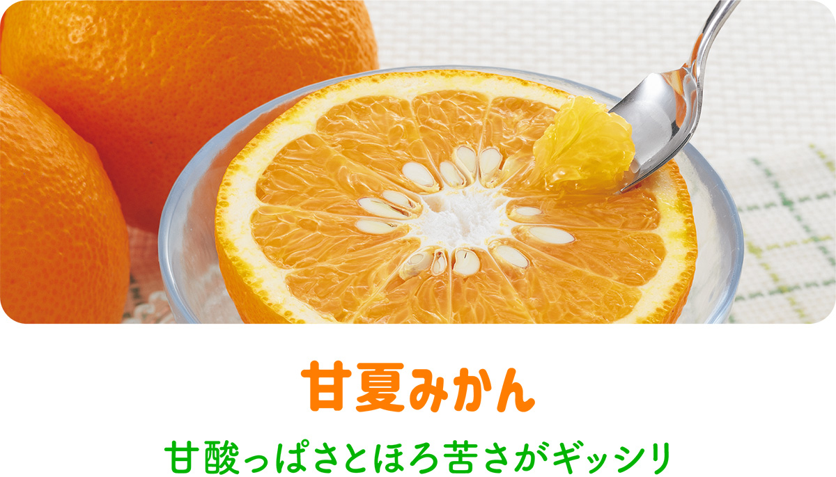 甘夏みかん
